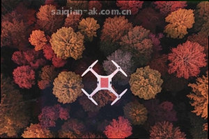 耳机与聊天图标组合，表示客服支持服务